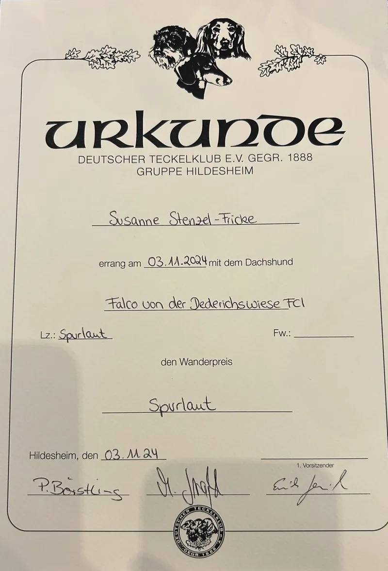 Urkunde der DTK Gruppe Hildesheim für Falco von der Dederichswiese