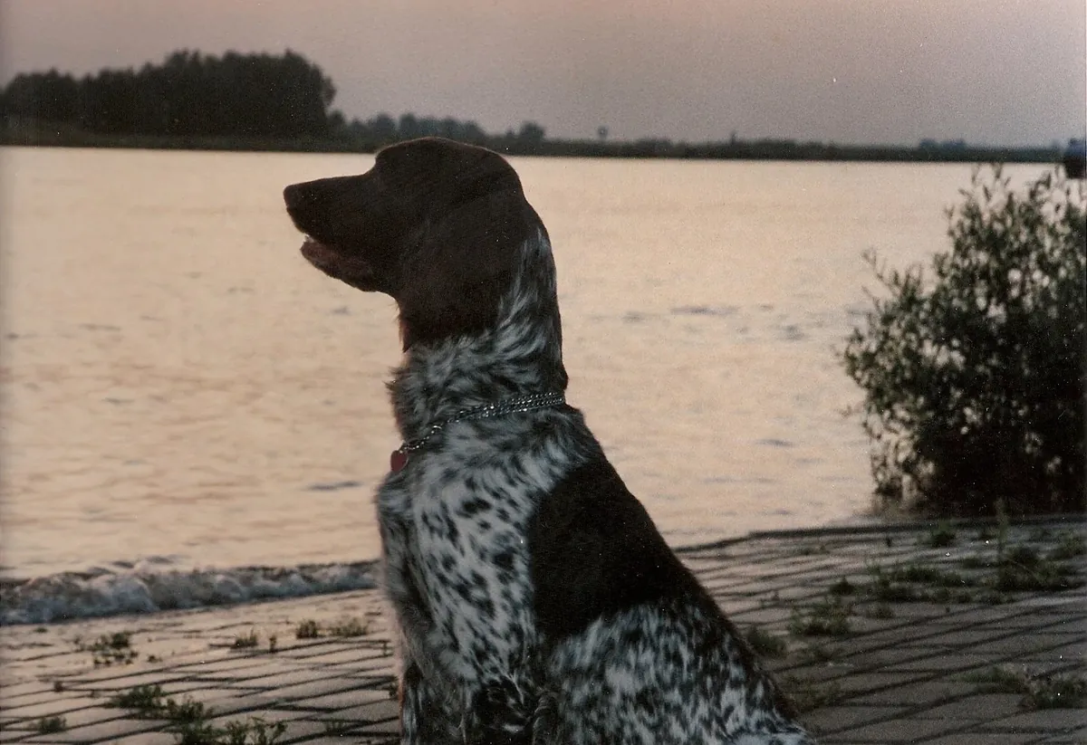 Frieda sitzt am Ufer und schaut aufs Wasser